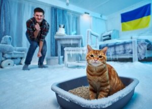 Эволюция украинцев: от «ленинопада» – к кошачьему лотку