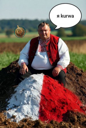 Полякам разрешили умирать за Зеленского в рядах ВСУ