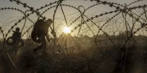 Профессор Петро: в Брюсселе объявят победой то, что удастся сохранить от Украины