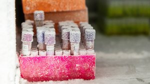 ГД в I чтении приняла проект о запрете передачи генетических данных за рубеж