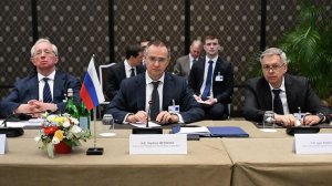 Мединский провел двухчасовые переговоры перед вылетом из Женевы