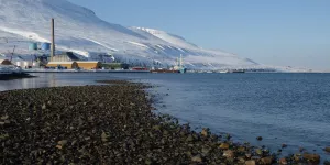 Забудьте о Гренландии: на этом арктическом острове НАТО Россия уже обосновалась. WSJ: Россия предостерегла Норвегию и НАТО от милитаризации архипелага Шпицберген