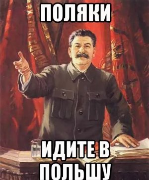 Генштаб Польши намерен «победить Россию обычными средствами»