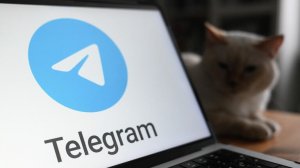 Размещение рекламы в Telegram является нарушением закона, заявили в ФАС