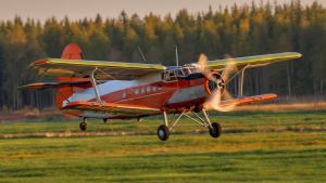 (Я - пацтулом) Ан-2 стал собственностью Airbus: Россия не имеет права строить бипланы