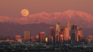 Сбежавшие из России звезды попали под массовые проверки в США, пишут СМИ