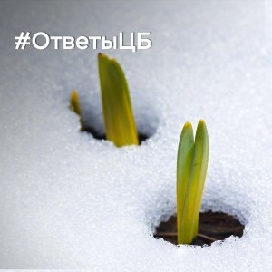 ЦБ: Ответы на вопросы, которые вы нам присылаете