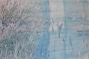 Боевики ВСУ бегут с позиций и бросают оружие. Сводка СВО, утро 15 марта