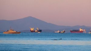 Патрушев допустил сопровождение торговых судов кораблями ВМФ