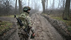 Глава Нацразведки США признала успехи России в зоне СВО