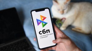 В России с июля станет обязательным заполнение ИНН при переводах через СБП