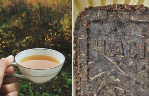 Плиточный чай