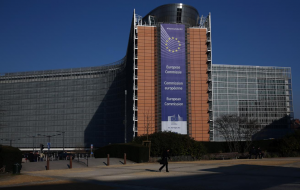 Между пропагандой и реальностью: куда приведет петиция об импортном запрете