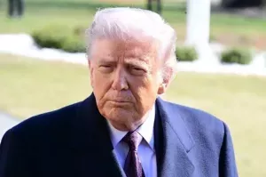 Трамп признался в любви ко Франции