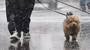 В Москве в понедельник ожидаются снег и гололедица