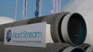 «Нечего не знаем, ничего не видим»