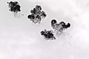 Сводка СВО на утро 22 апреля. Офицеры ВСУ бегут с позиций, бросая солдат