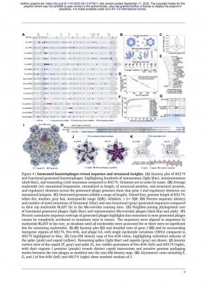 Учёные из Стэнфорда* и Института Arc провели необычный эксперимент: они загрузили в ИИ-модель последовательность ДНК и попросили её создать новые вирусы. Модель сгенерировала сотни вариантов