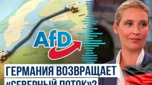 Репарации наоборот. Неожиданный поворот в деле о "Северных потоках"
