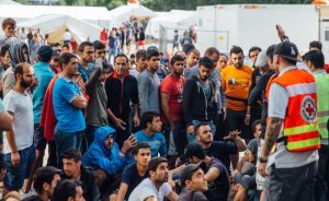 Европарламент: Нелегальных мигрантов из ЕС будут отправлять в Казахстан и Узбекистан