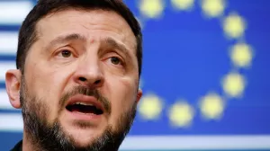 Депутат ЕП Зайончковская-Герник: Зеленский сам раскрутил проблему нацизма Киева