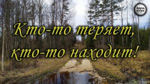 [Сингулярность ума] Мозг в цифре: что происходит с памятью и вниманием Zумеров? Не деградация, а когнитивная трансформация при адаптации к лавинообразным изменениям мира