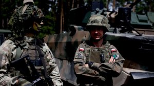 Польша начала рассекречивать данные о вооружениях, переданных Украине