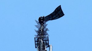 Россиянам, забравшимся на небоскреб в Нью-Йорке, грозит до 20 лет тюрьмы
