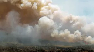 Сенатор-республиканец Морено пригрозил Канаде санкциями из-за лесных пожаров