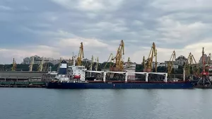 У Украины начались проблемы с экспортом зерна через Черное море