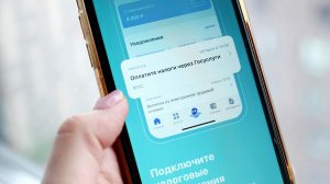 С 1 августа на "Госуслуги" будут автоматически приходить уведомления по налогам