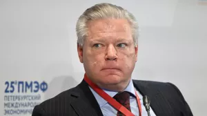 Глава AmCham Эйджи: многие американские компании хотят вернуться в Россию, но не могут