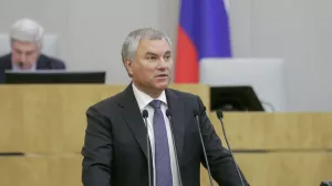 Володин: мигрантам, не подчиняющимся полицейским, грозит выдворение из России