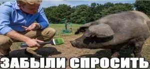 Киев призывает «принудить» Россию не бить по «зерновому коридору»