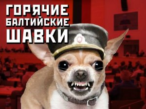 Литовский министр культуры призвал изгнать музыку Чайковского из театров республики
