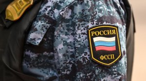 За первое полугодие из России выдворили почти 44 тысячи иностранцев