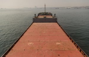 На Украине сообщили об остановке экспорта агропродукции через Черное море