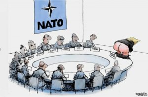 МИД РФ: в НАТО наблюдается тяжелейший за всю его историю кризис