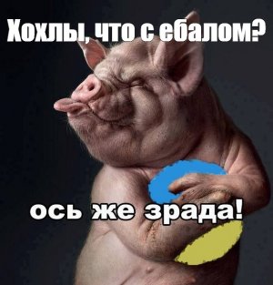 Не ужто сдохла гнида? ВСУ несут родным основателя "Азова" Андрея Билецкого букеты с траурными лентами