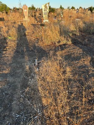 Шок-фото: Десятки тысячи могил ВСУшников превратились в помойки