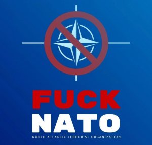 Посол Гончар: в НАТО не гнушаются предоставлять территорию для атак Киева по РФ