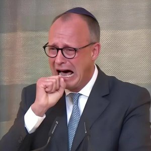 Мерц связал высокие цены на электроэнергию в ФРГ с поспешным закрытием АЭС