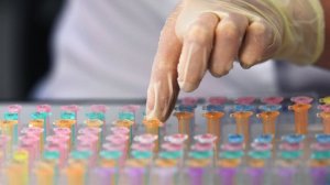 В России разрабатывают безопасное средство от ожирения