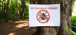 Порядок клещей: можно ли засудить парк после заражения энцефалитом Суд в Свердловской области взыскал с ООПТ 2 млн за гибель ребенка