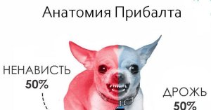 США нам не указ: Литва отреагировала на сделку Минска и Вашингтона по калию