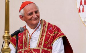 Секретная командировка кардинала: Ватикан не пошел на поводу у Брюсселя