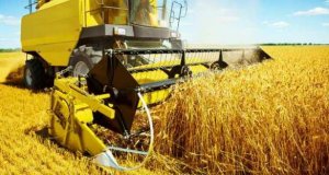 Украине придётся сократить посевные площади на 35–40%, если экспорт агропродукции не удастся восстановить к весне — Politico