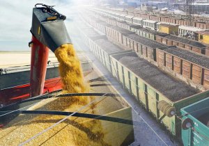 В России повысили приоритет железнодорожных перевозок зерна