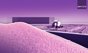 Латвия может потерять €290 млн из-за прекращения транзита зерна из России