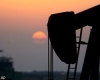 Нигерийские боевики пообещали сократить экспорт нефти